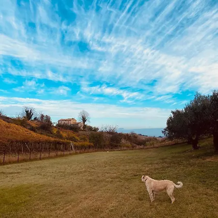 ベッド・アンド・ブレックファスト Alive Abruzzo, Dog Friendly