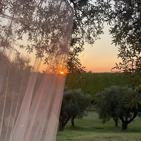 ベッド・アンド・ブレックファスト Alive Abruzzo, Dog Friendly