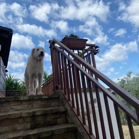 住宿加早餐酒店 Alive Abruzzo, Dog Friendly *