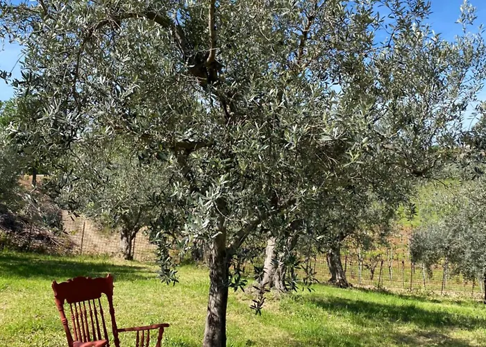 Bed & Breakfast Alive Abruzzo, Dog Friendly 3*