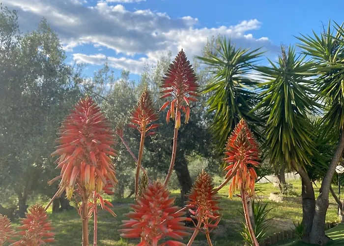 Alive Abruzzo, Dog Friendly Отель типа 